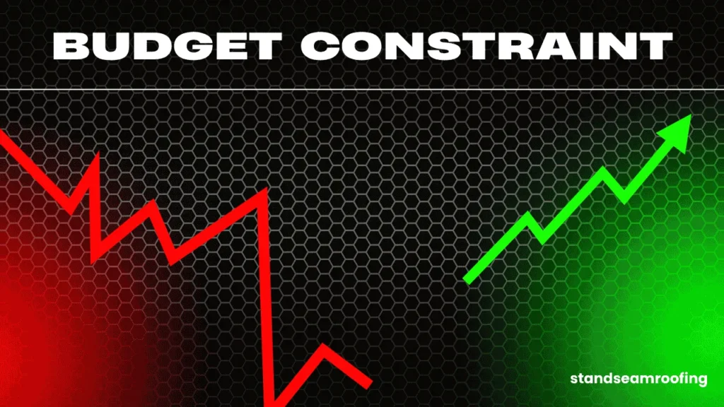 stand seam roofing budget